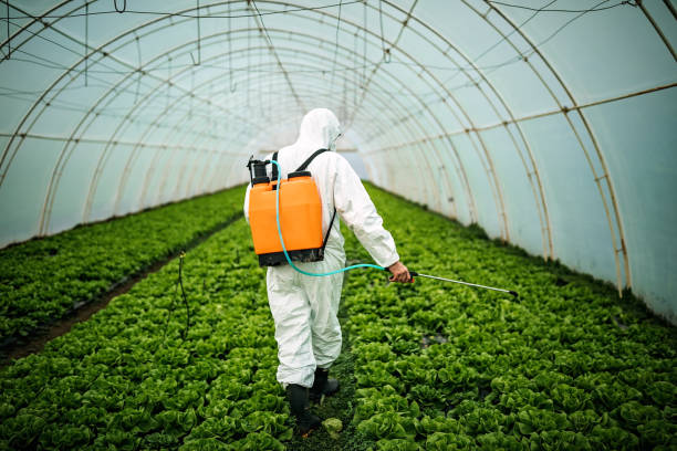 Pest Control Cost in Colton, CA