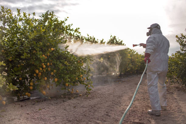 Wildlife Control Services in Colton, CA