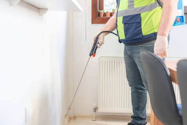 Trusted Colton, CA Pest Control Experts