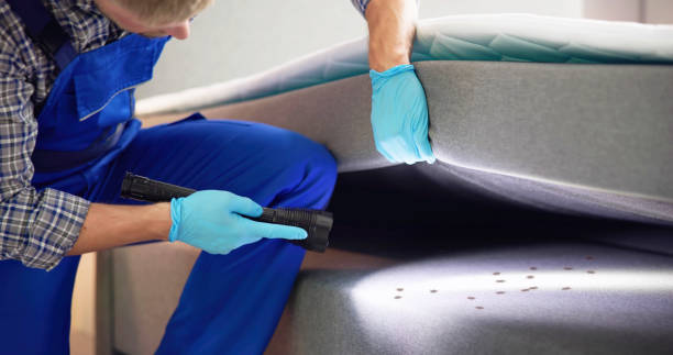 Best Affordable Pest Control Services  in Colton, CA